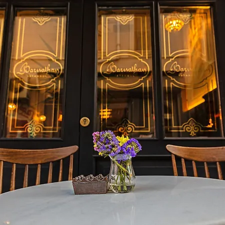 Meroddi Barnathan Hotel Istanbul