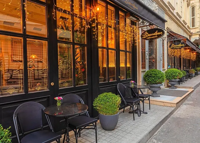 Meroddi Barnathan Istanbul