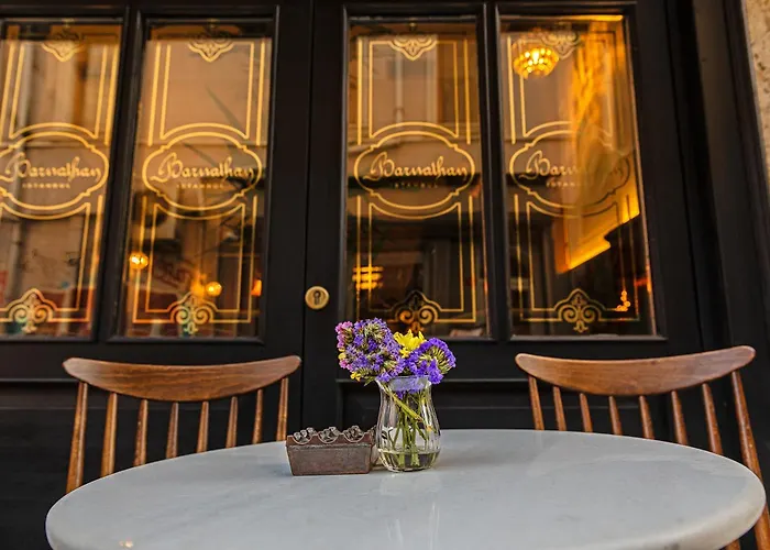 Meroddi Barnathan Hotel Istanbul